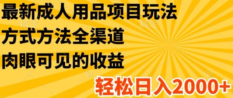 最新成人用品项目玩法，方式方法全渠道，轻松日入2K+【揭秘】-生财社