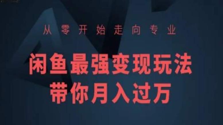 从零开始走向专业，闲鱼最强变现玩法带你月入过万-生财社