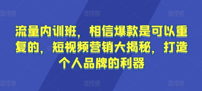 流量内训班，相信爆款是可以重复的，短视频营销大揭秘，打造个人品牌的利器-生财社