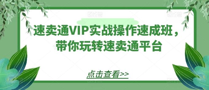 速卖通VIP实战操作速成班，带你玩转速卖通平台-生财社