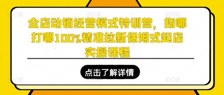 全店动销经营模式特训营，指哪打哪100%精准拉新保姆式起店实操课程-生财社