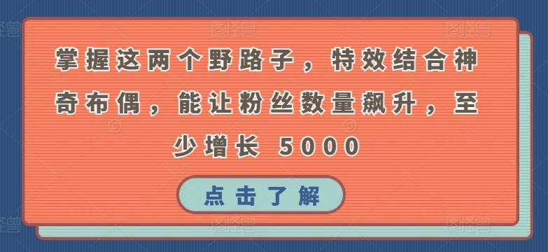 掌握这两个野路子，特效结合神奇布偶，能让粉丝数量飙升，至少增长 5000【揭秘】-生财社