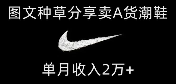 靠图文种草分享卖A货潮鞋，每天一小时，单月收入2万+【揭秘】-生财社