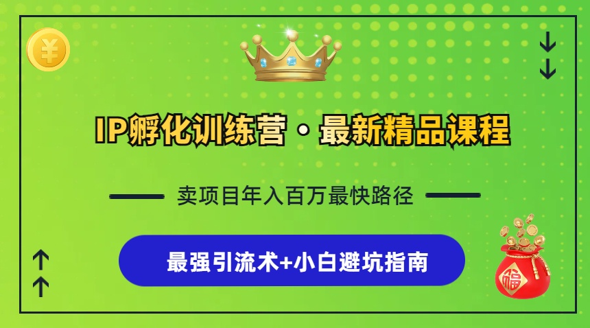 IP孵化训练营，知识付费全流程+最强引流术+小白避坑指南-生财社
