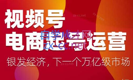 陈大黑牛·视频号电商起号运营课(更新到24年5月)-生财社