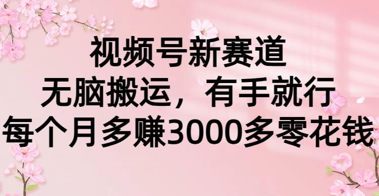 (9278期)视频号新赛道，无脑搬运，有手就行，每个月多赚3000多零花钱-生财社