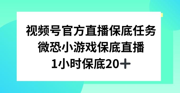 视频号直播任务，微恐小游戏，1小时20+【揭秘】-生财社