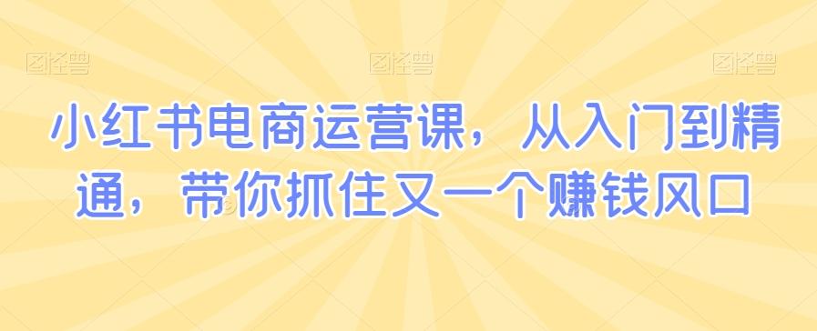 小红书电商运营课，从入门到精通，带你抓住又一个赚钱风口-生财社