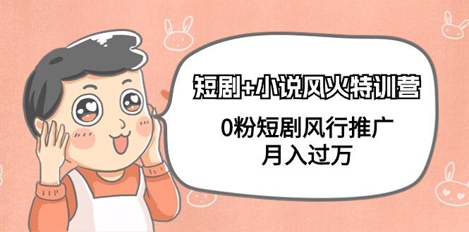 (9374期)短剧+小说风火特训营，0粉短剧风行推广，月入过万(102节课)-生财社