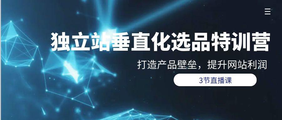 (9925期)独立站-垂直化选品训练营，打造产品壁垒，提升网站利润(3节直播课)-生财社