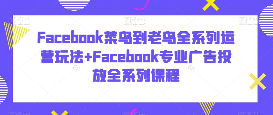 Facebook菜鸟到老鸟全系列运营玩法+Facebook专业广告投放全系列课程-生财社