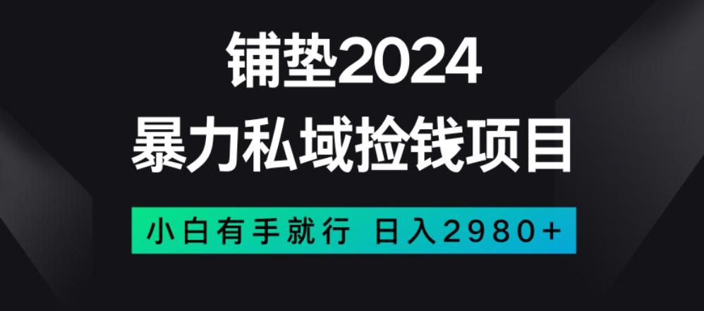 暴力私域捡钱项目，小白无脑操作，日入2980【揭秘】-生财社