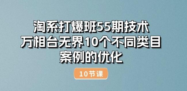淘系打爆班55期技术：万相台无界10个不同类目案例的优化(10节)-生财社
