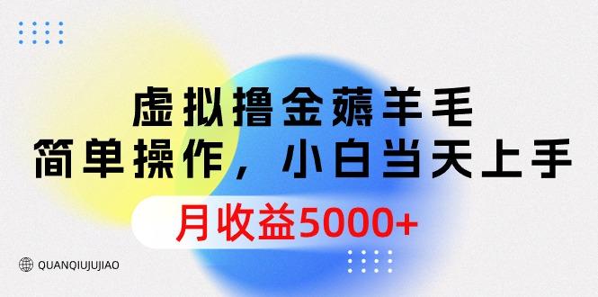 (9864期)虚拟撸金薅羊毛，简单操作，小白当天上手，月收益5000+-生财社