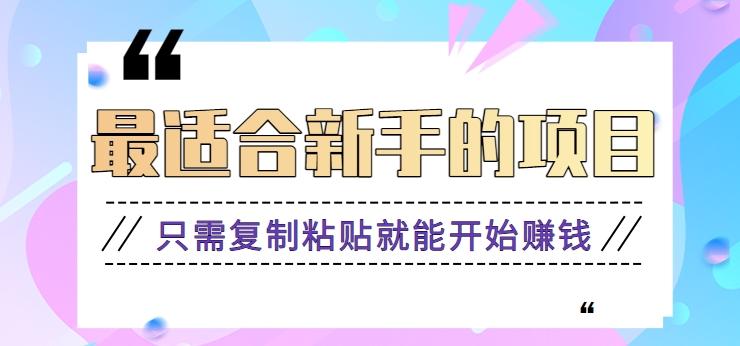 2024最适合新手操作的项目，新手小白只需复制粘贴就能开始赚钱【视频教程+软件】-生财社