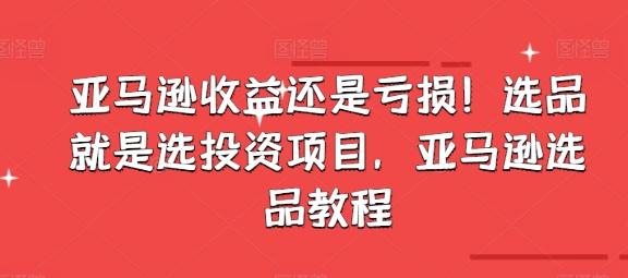 亚马逊收益还是亏损！选品就是选投资项目，亚马逊选品教程-生财社