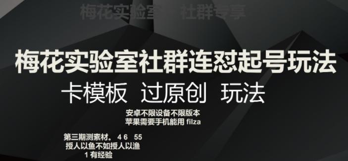 梅花实验室社群连怼起号玩法，卡模板过原创玩法【揭秘】-生财社