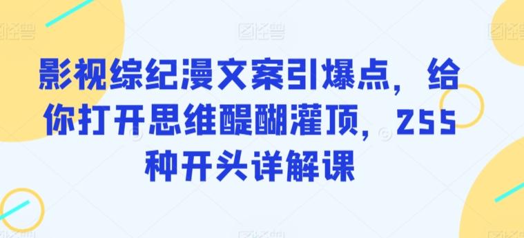 影视综纪漫文案引爆点，给你打开思维醍醐灌顶，255种开头详解课-生财社