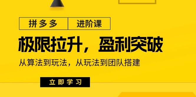 拼多多·进阶课：极限拉升/盈利突破：从算法到玩法 从玩法到团队搭建-18节-生财社