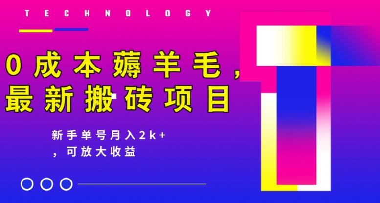0成本薅羊毛，最新搬砖项目，新手单号月入2k+，可放大操作-生财社