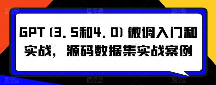 GPT(3.5和4.0)微调入门和实战，源码数据集实战案例-生财社