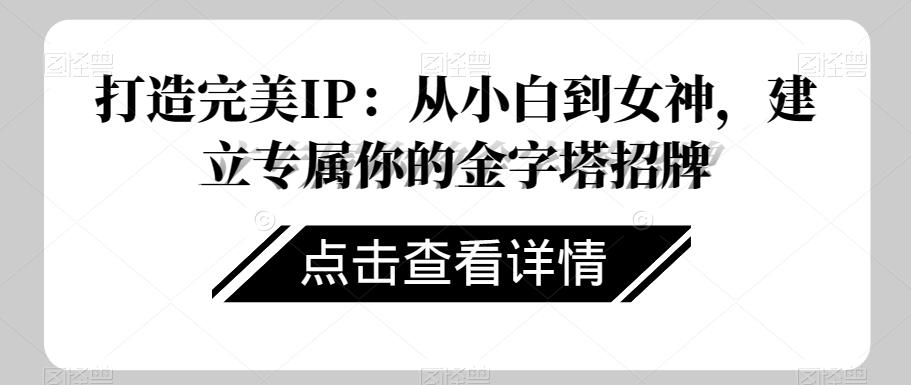 打造完美IP：从小白到女神，建立专属你的金字塔招牌-生财社
