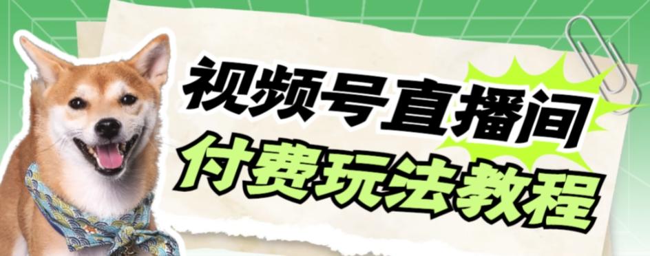 视频号美女付费无人直播，轻松日入500+【详细玩法教程】-生财社