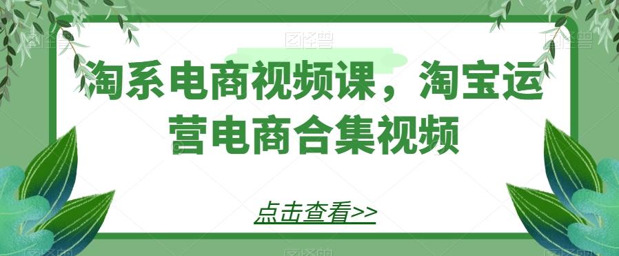 淘系电商视频课，淘宝运营电商合集视频-生财社