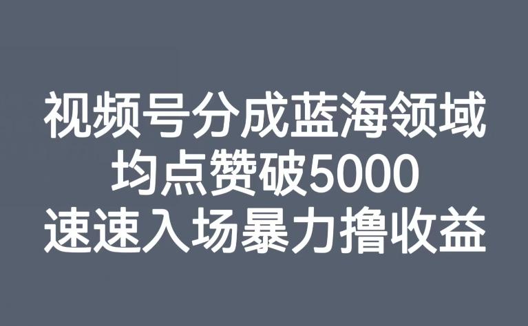 视频号分成蓝海领域，均点赞破5000，速速入场暴力撸收益-生财社