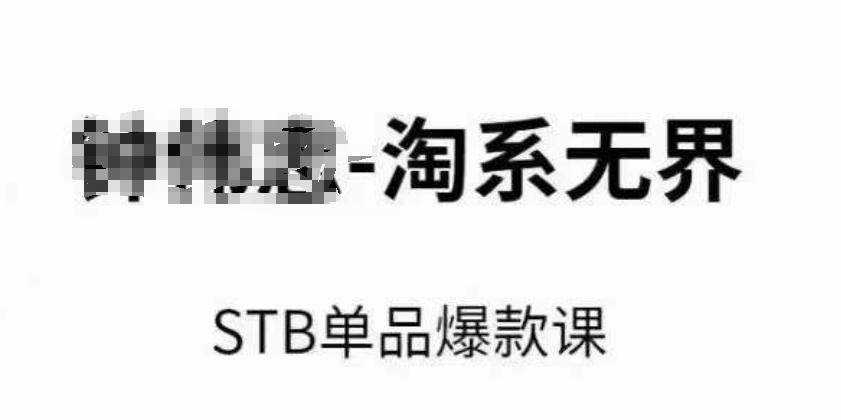 淘系无界STB单品爆款课(2024)，付费带动免费的核心逻辑，万相台无界关键词推广/精准人群的核心-生财社