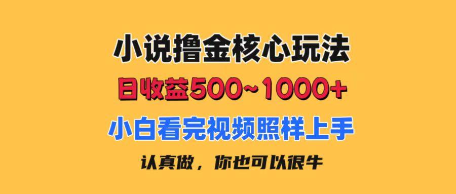 小说撸金核心玩法，日收益500-1000+，小白看完照样上手，0成本有手就行-生财社