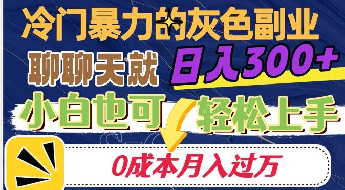 冷门暴利的副业项目，聊聊天就能日入300+，0成本月入过万【揭秘】-生财社