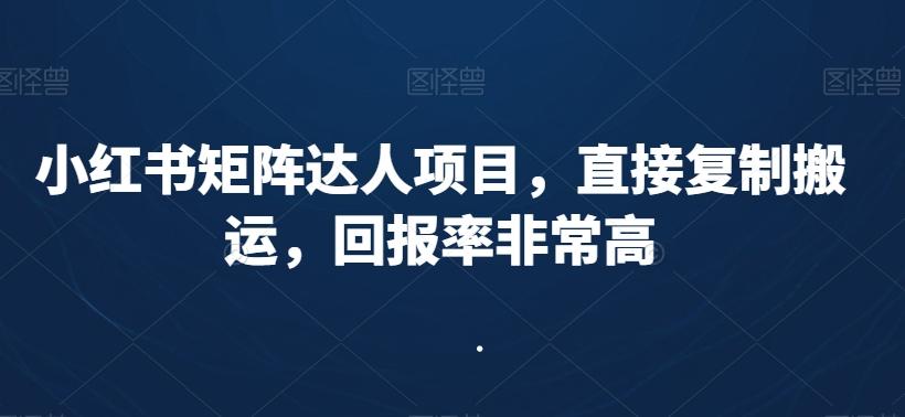 小红书矩阵达人项目，直接复制搬运，回报率非常高-生财社