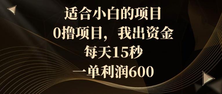适合小白的项目，0撸项目，我出资金，每天15秒，一单利润600-生财社