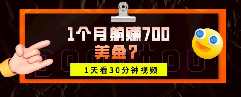 1天看30分钟视频，1个月躺赚700美金？-生财社