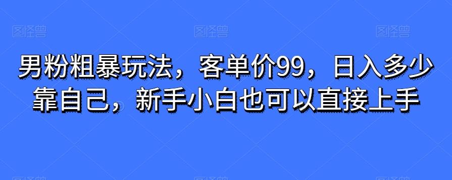 男粉粗暴玩法，客单价99，日入多少靠自己，新手小白也可以直接上手-生财社