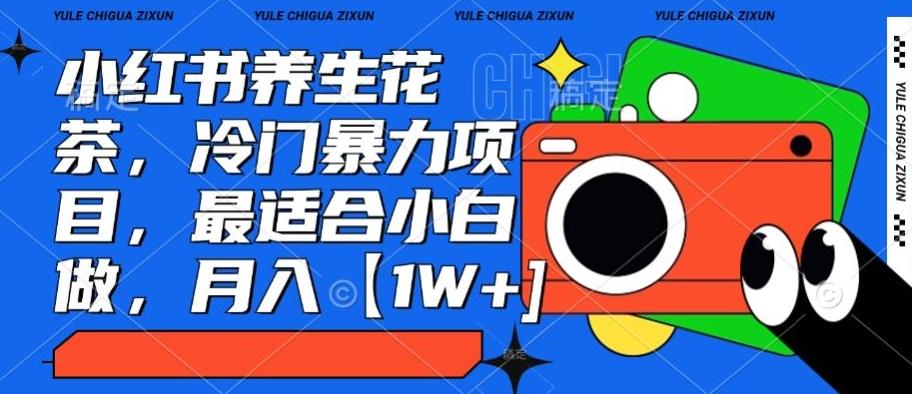 小红书养生花茶，冷门暴力项目，最适合小白做，月入【1W+】-生财社