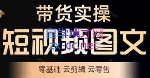 鑫哥·2024零基础短视频带货实操营-生财社