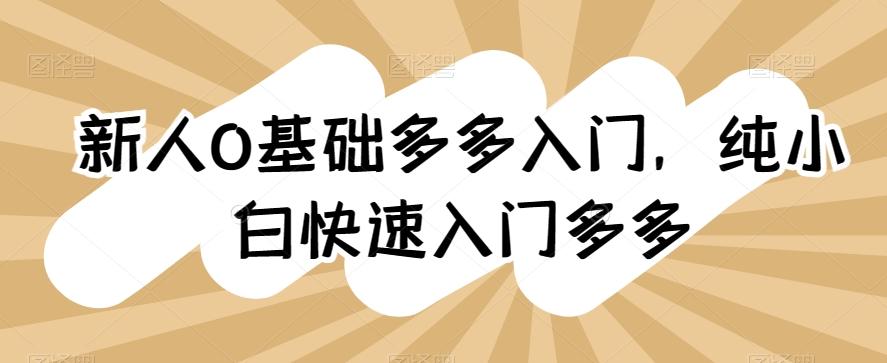 新人0基础多多入门，​纯小白快速入门多多-生财社