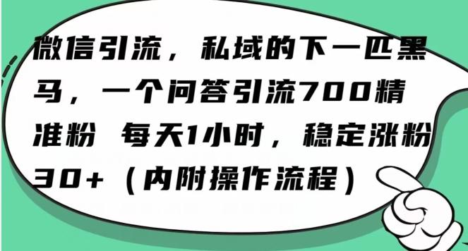 怎么搞精准创业粉？微信新赛道，每天一小时，利用Ai一个问答日引100精准粉-生财社