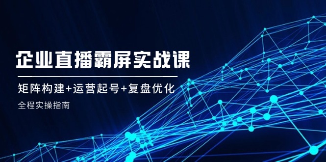 企业直播霸屏实战课：矩阵构建+运营起号+复盘优化，全程实操指南-生财社