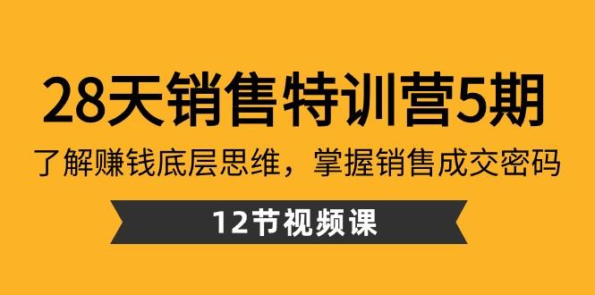 28天销售特训营5期：了解赚钱底层思维，掌握销售成交密码（12节课）-生财社