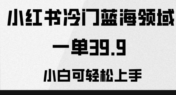 小红书冷门蓝海领域，一单39.9，小白可轻松上手-生财社