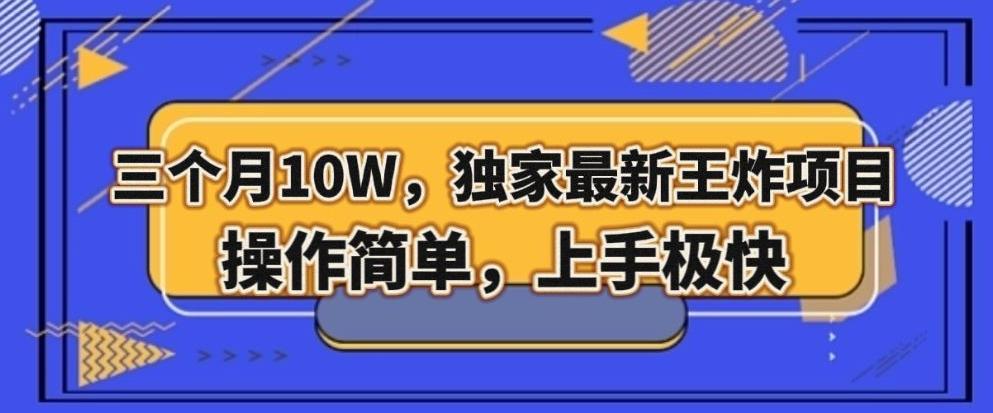 三个月10W，独家最新王炸项目！操作简单，上手极快【揭秘】-生财社