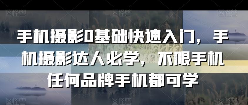 手机摄影0基础快速入门，手机摄影达人必学，不限手机任何品牌手机都可学-生财社