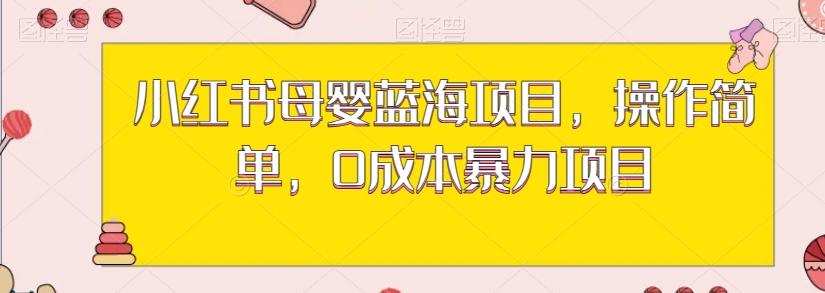 小红书母婴蓝海项目，操作简单，0成本暴力项目-生财社