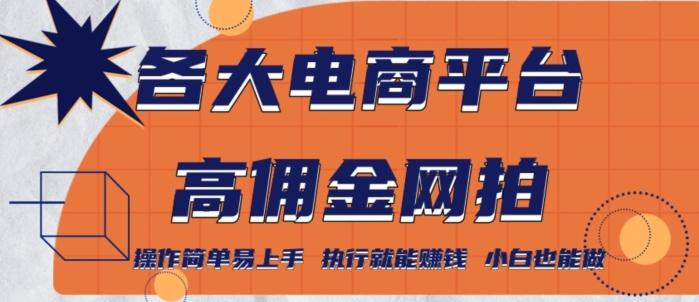 各大电商平台高佣金网拍，操作简单易上手，执行就能赚钱，小白也能做-生财社