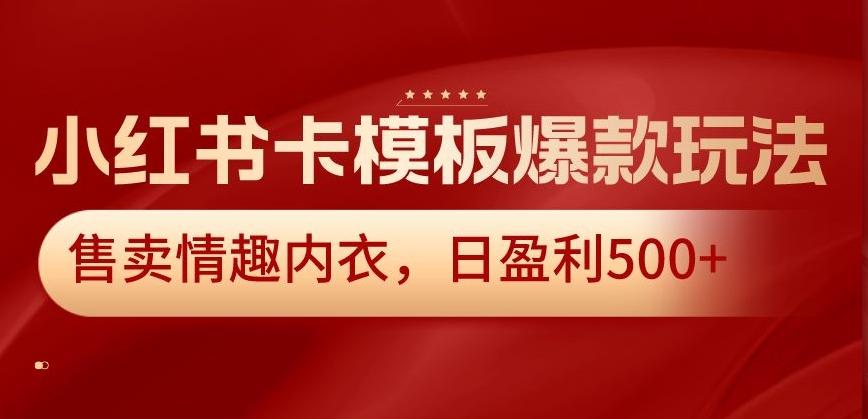 小红书卡模板爆款玩法，售卖情趣内衣，日盈利500+【揭秘】-生财社