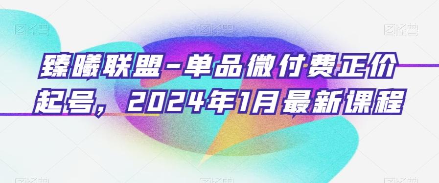 臻曦联盟-单品微付费正价起号，2024年1月最新课程-生财社