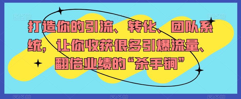 打造你的引流、转化、团队系统，让你收获很多引爆流量、翻倍业绩的“杀手锏”-生财社